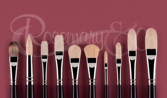 JILL CARVER BRUSH SET