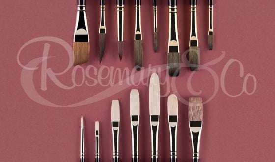 LORI PUTNAM BRUSH SET